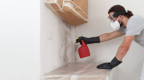 Professional Attic Mold Removal technician working in Saint James City, FL